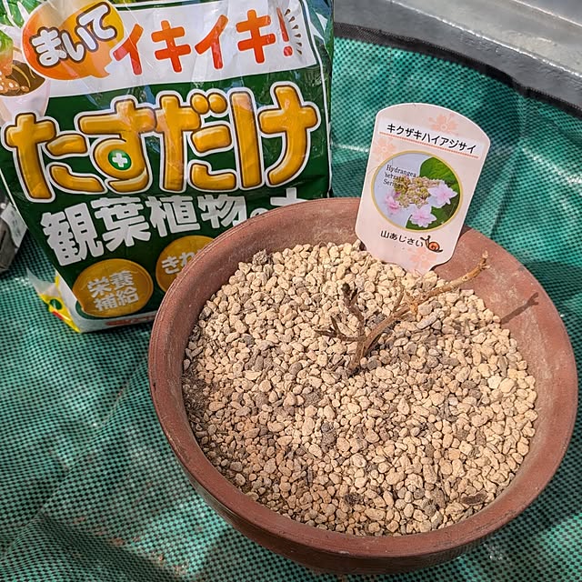 mi-saさんの部屋