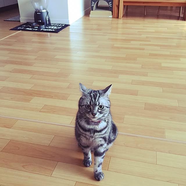 hiyupan88さんの実例写真