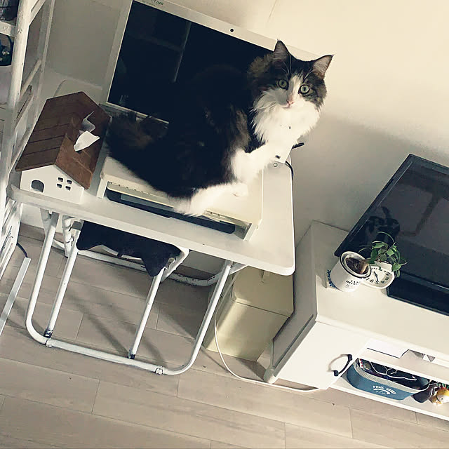 asuさんの実例写真