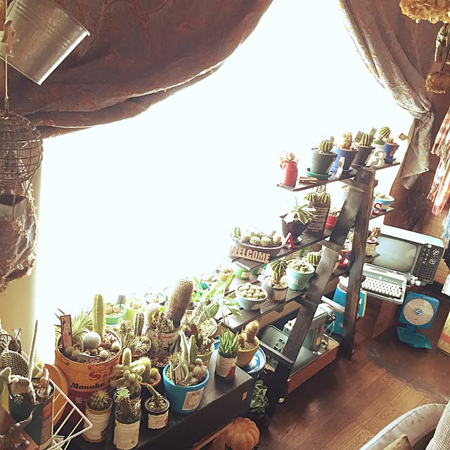 Masahideさんの実例写真