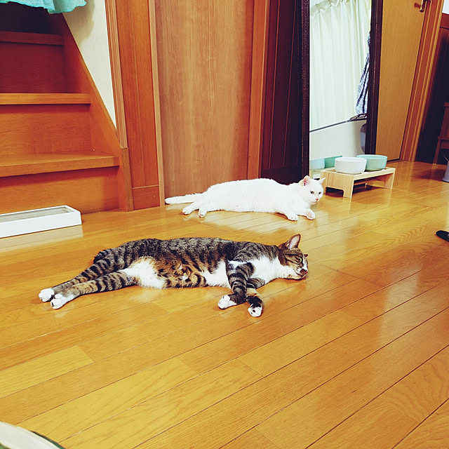 nachiさんの実例写真