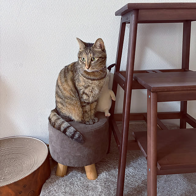 chiiさんの部屋