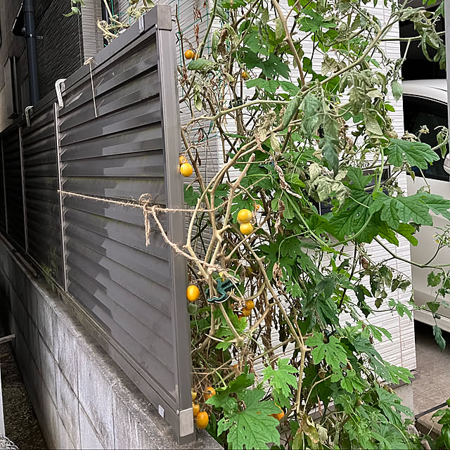 emykuさんの実例写真