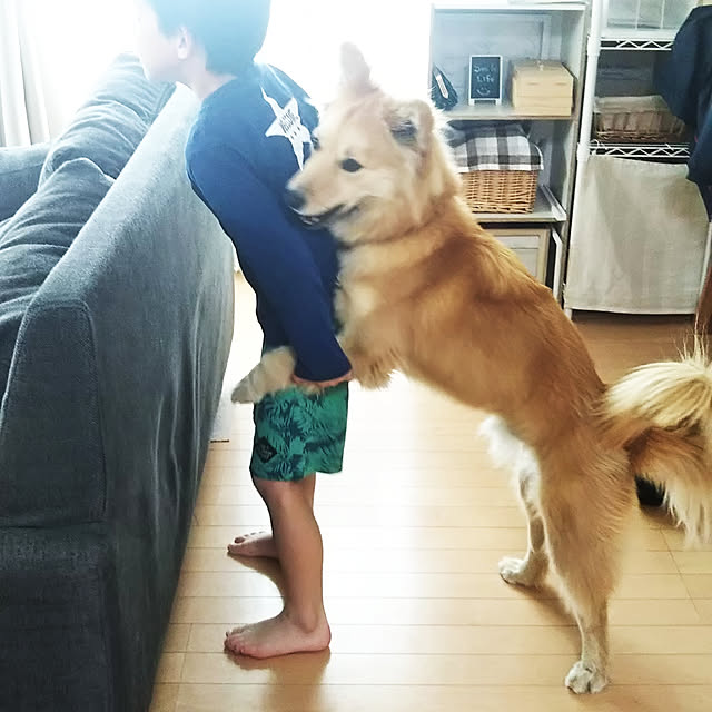 kaoriさんの実例写真