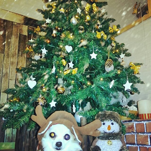anny_minkさんの実例写真