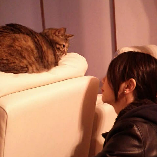 akiさんの実例写真