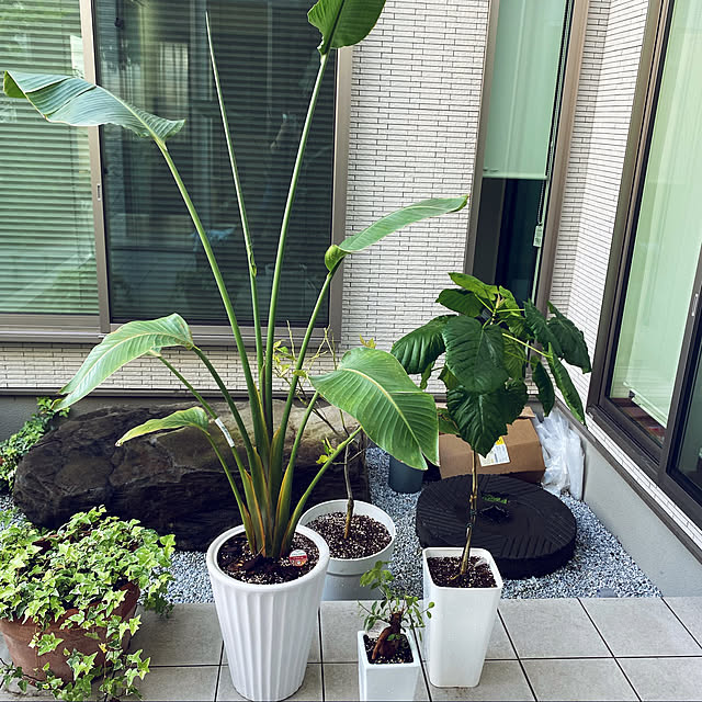 実例写真