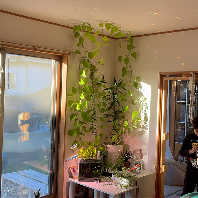 satoさんの部屋