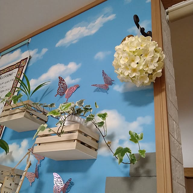 kiyohima229さんの実例写真