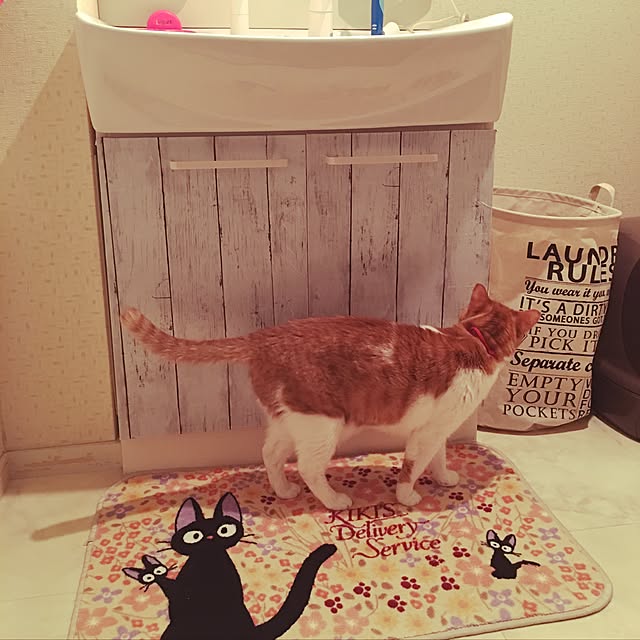 nyanyakoさんの実例写真