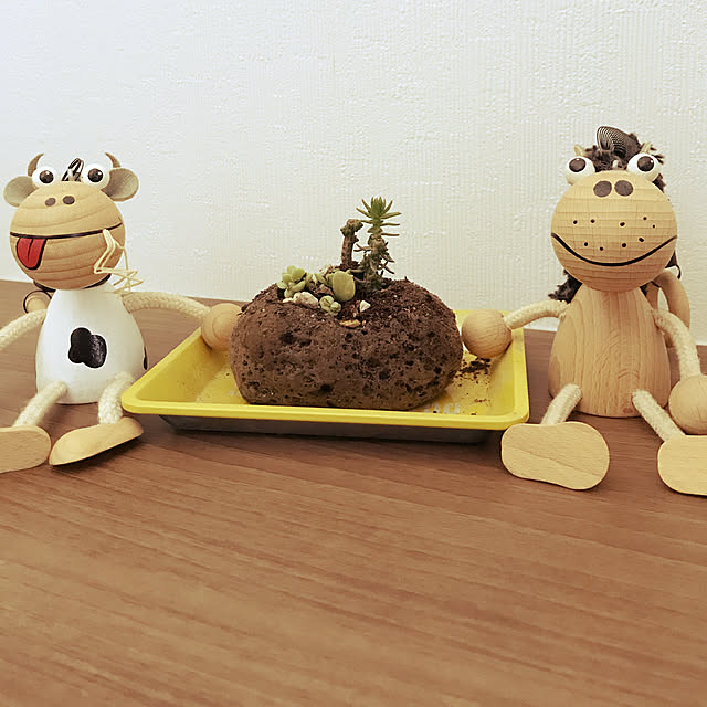 KotarouKunさんの実例写真