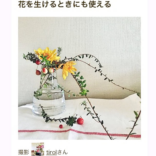 tirolさんの実例写真