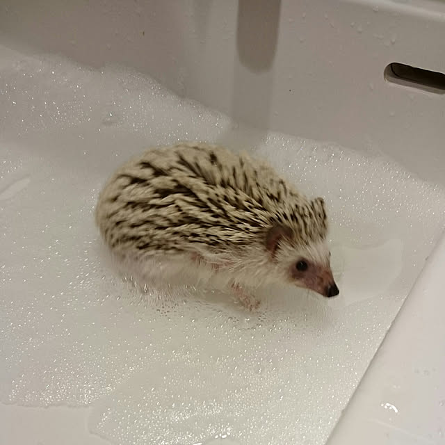Reikomさんの実例写真