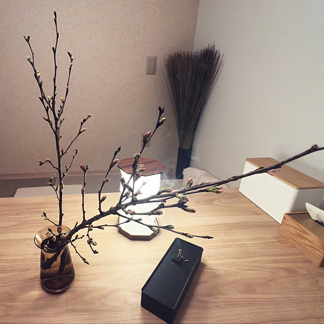 piroaiさんの部屋