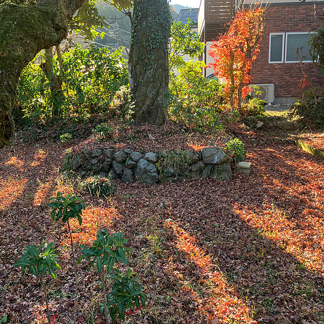 ikubooさんの実例写真