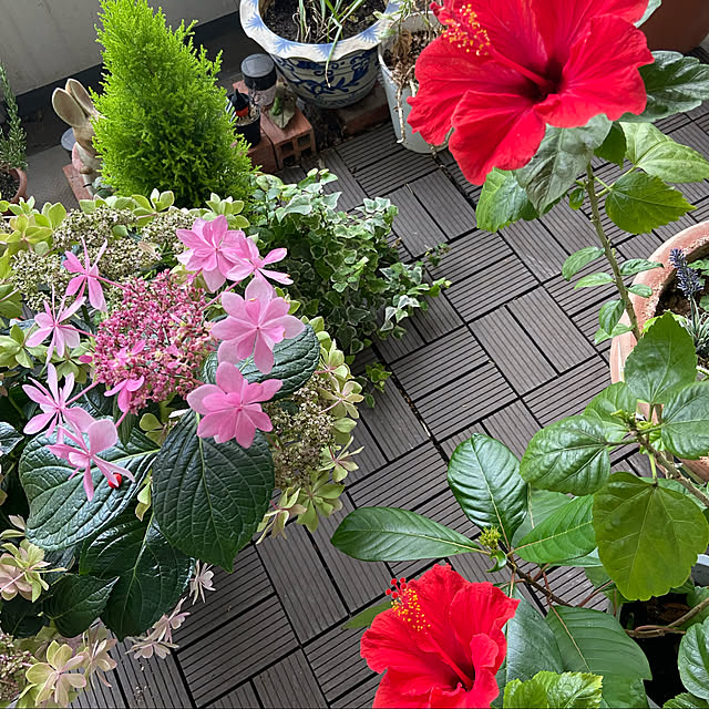 saraminさんの実例写真