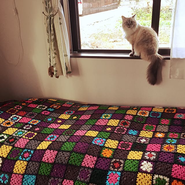Nyaさんの実例写真