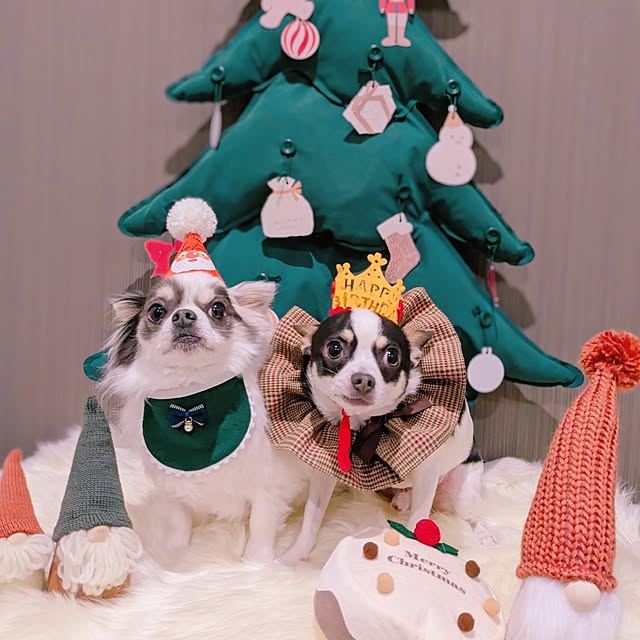 bjhorusさんの部屋