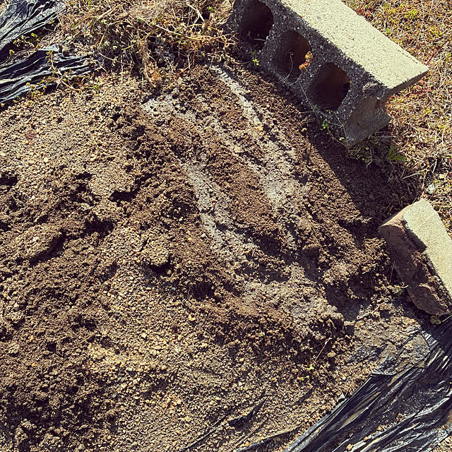 ayayayayaさんの部屋