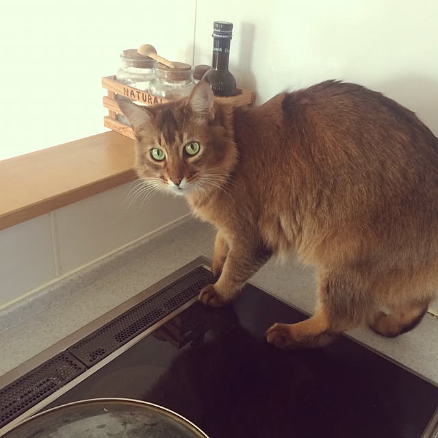Yumiさんの実例写真