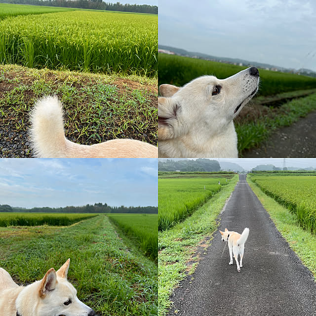 tanboさんの部屋