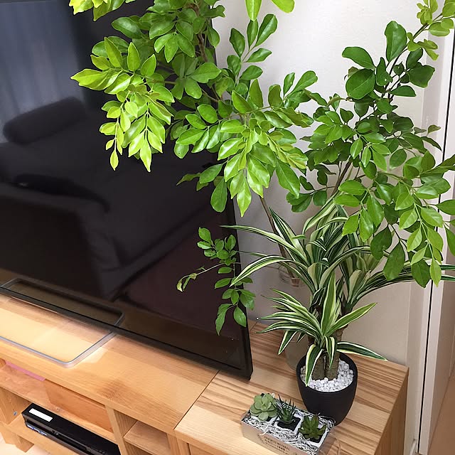 cherryさんの実例写真