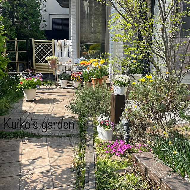 kuikoさんの実例写真