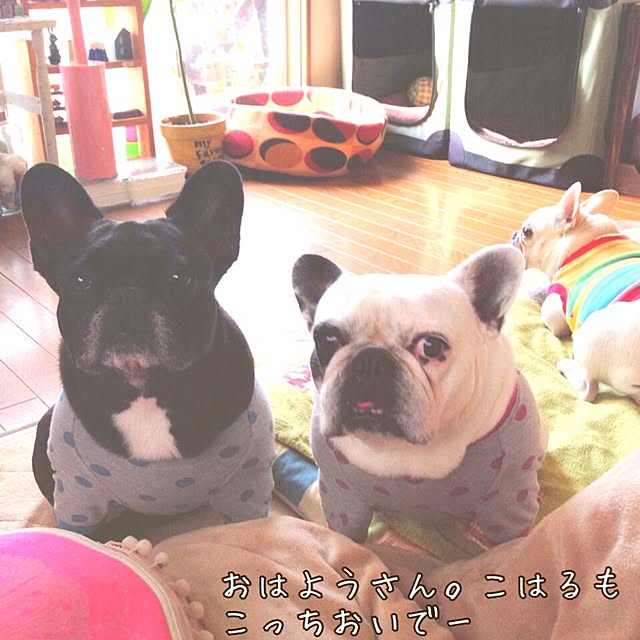 38coreさんの実例写真