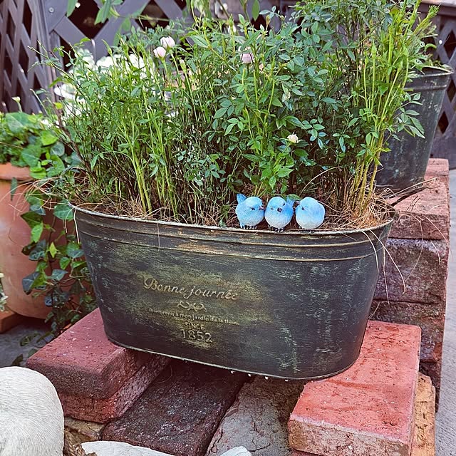 mocomocoさんの部屋