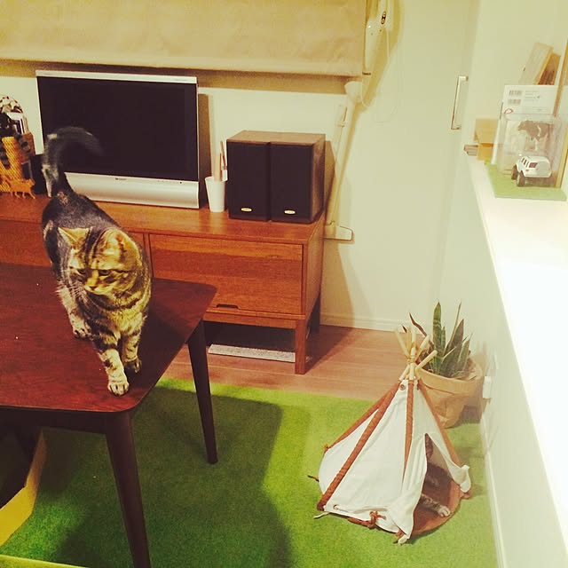 mikomaruさんの実例写真