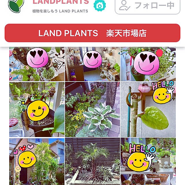 takakoさんの実例写真
