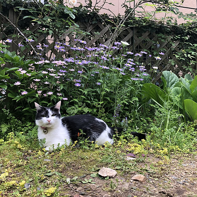 yum0408さんの実例写真