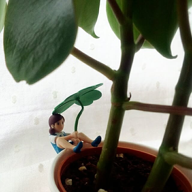 dotlaceさんの実例写真