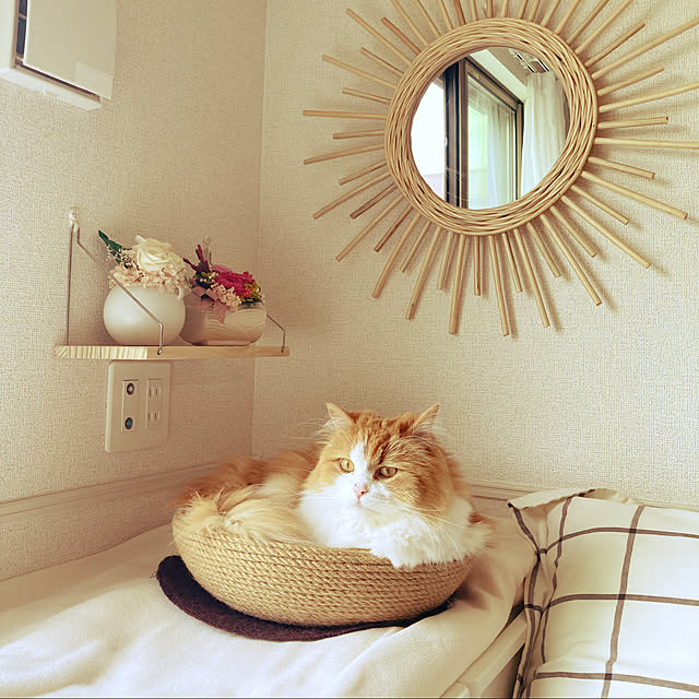 H.Tさんの実例写真