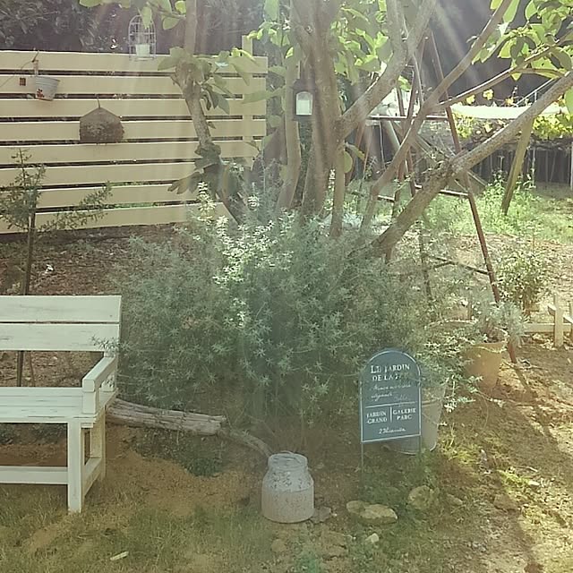 satomiさんの実例写真
