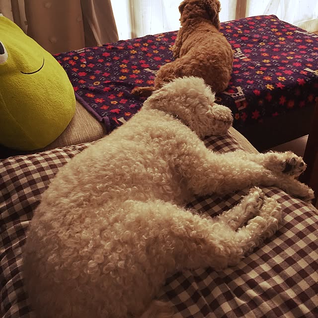 moonさんの実例写真