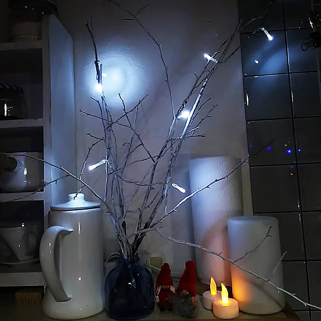 Kyon2さんの実例写真
