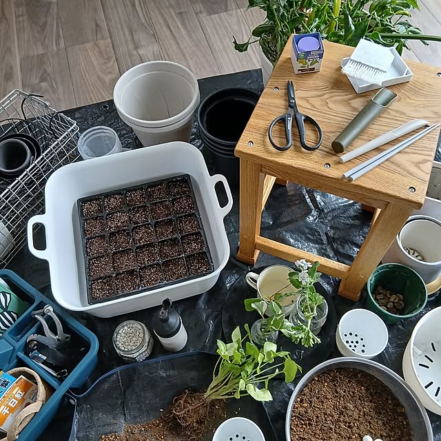 chidorinさんの実例写真