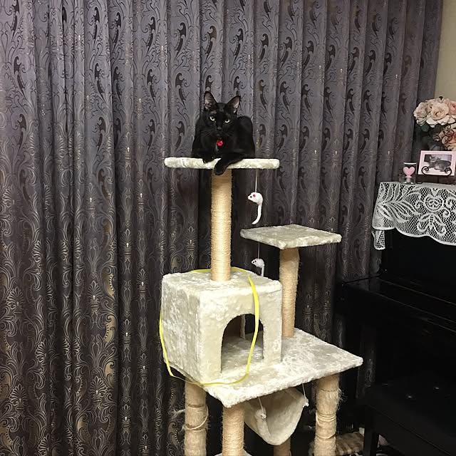 nonさんの実例写真