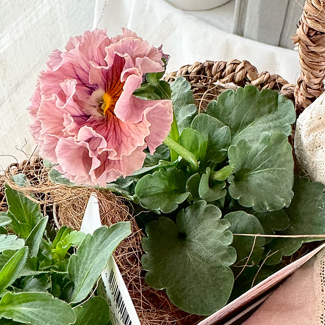 Chigusaさんの部屋