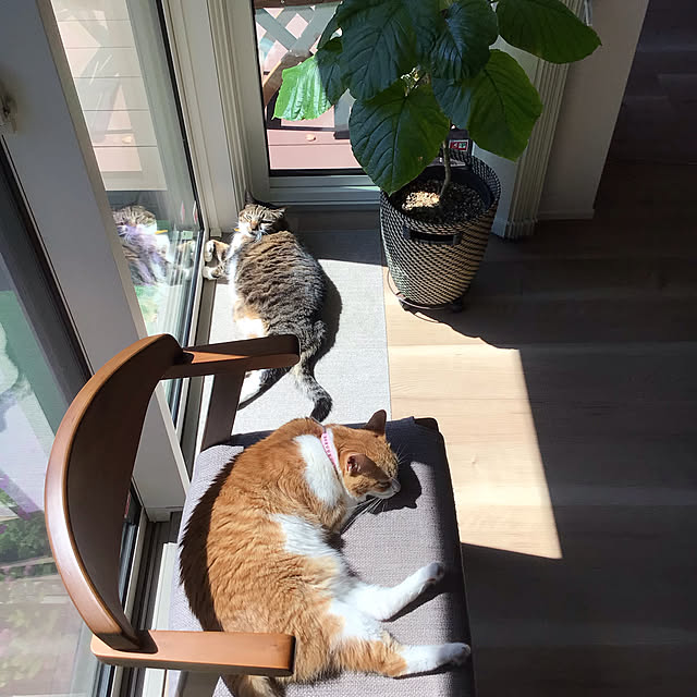 houenさんの実例写真