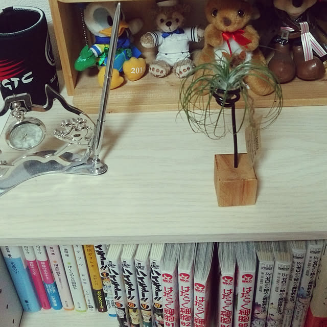 icchiさんの実例写真