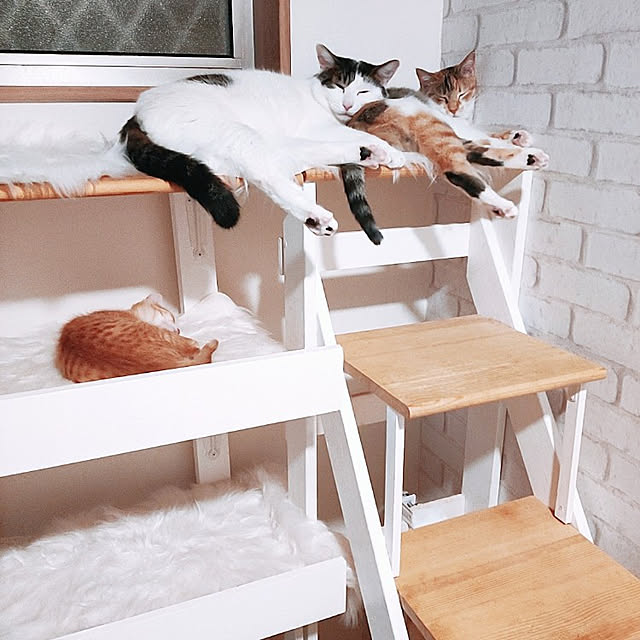 kirakirahikaruさんの実例写真