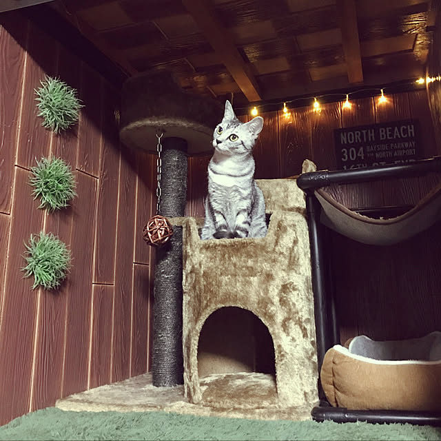 RANIさんの実例写真