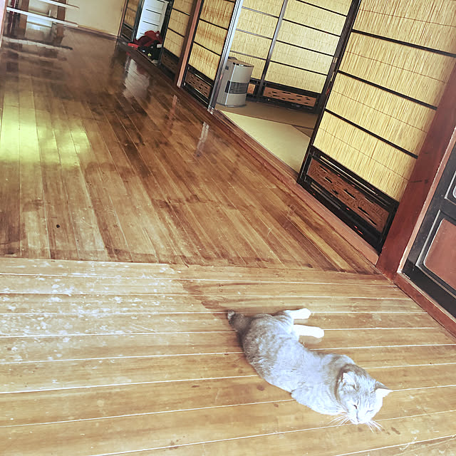 Makoさんの実例写真