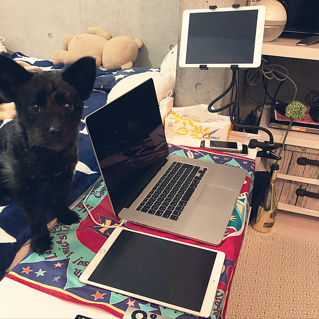 eRさんの実例写真