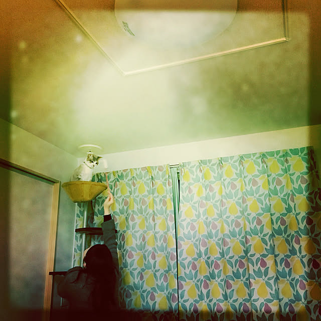 Fukafkaさんの実例写真