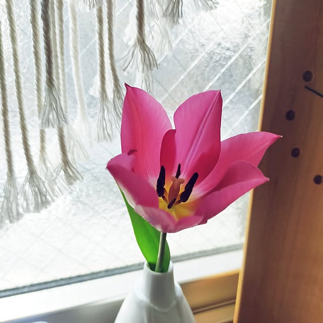 JKさんの部屋