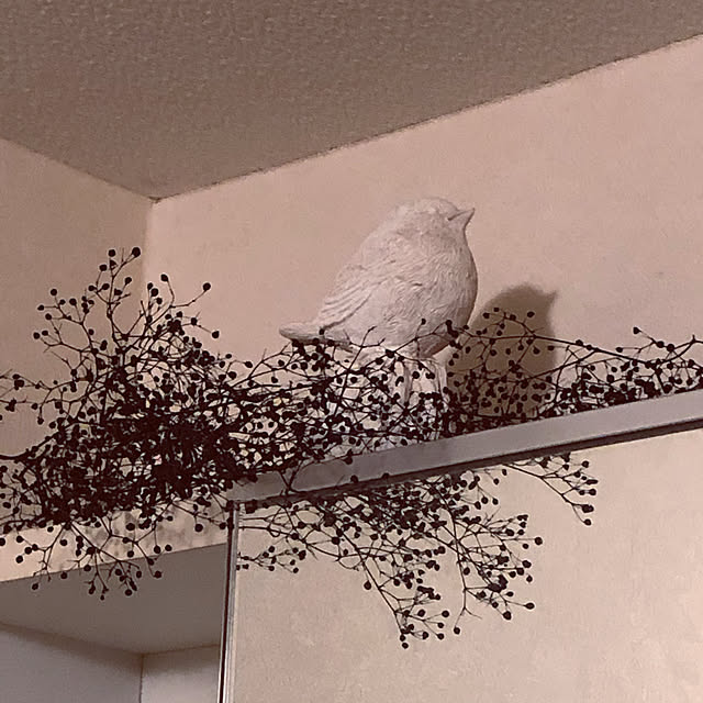 chutaさんの実例写真