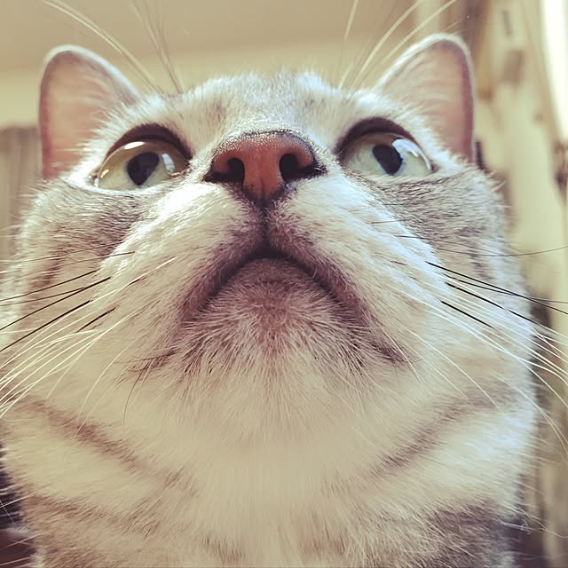 nono87さんの実例写真